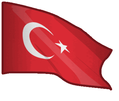 HUPALUPA ♥ Türkiye